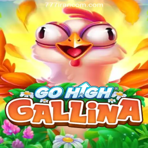 Exploring the World of GoHighGallina: A Journey Through Adventure and Strategy